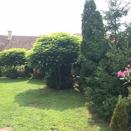 Palić Villa Nirvana מראה חיצוני תמונה