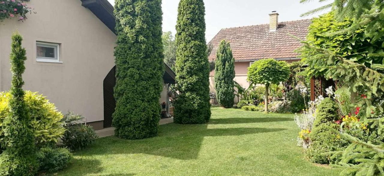 Palić Villa Nirvana מראה חיצוני תמונה