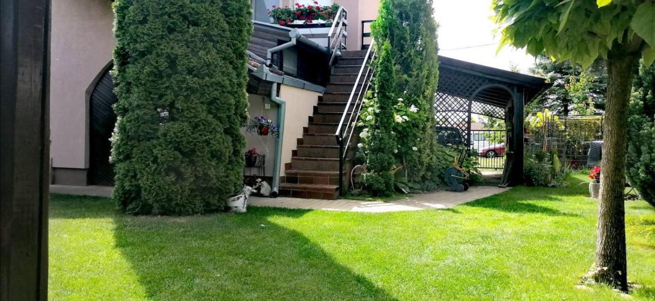 Palić Villa Nirvana מראה חיצוני תמונה